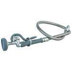 T&S Brass , B-0100, Pre-Rinse Hose & Valve Assembly